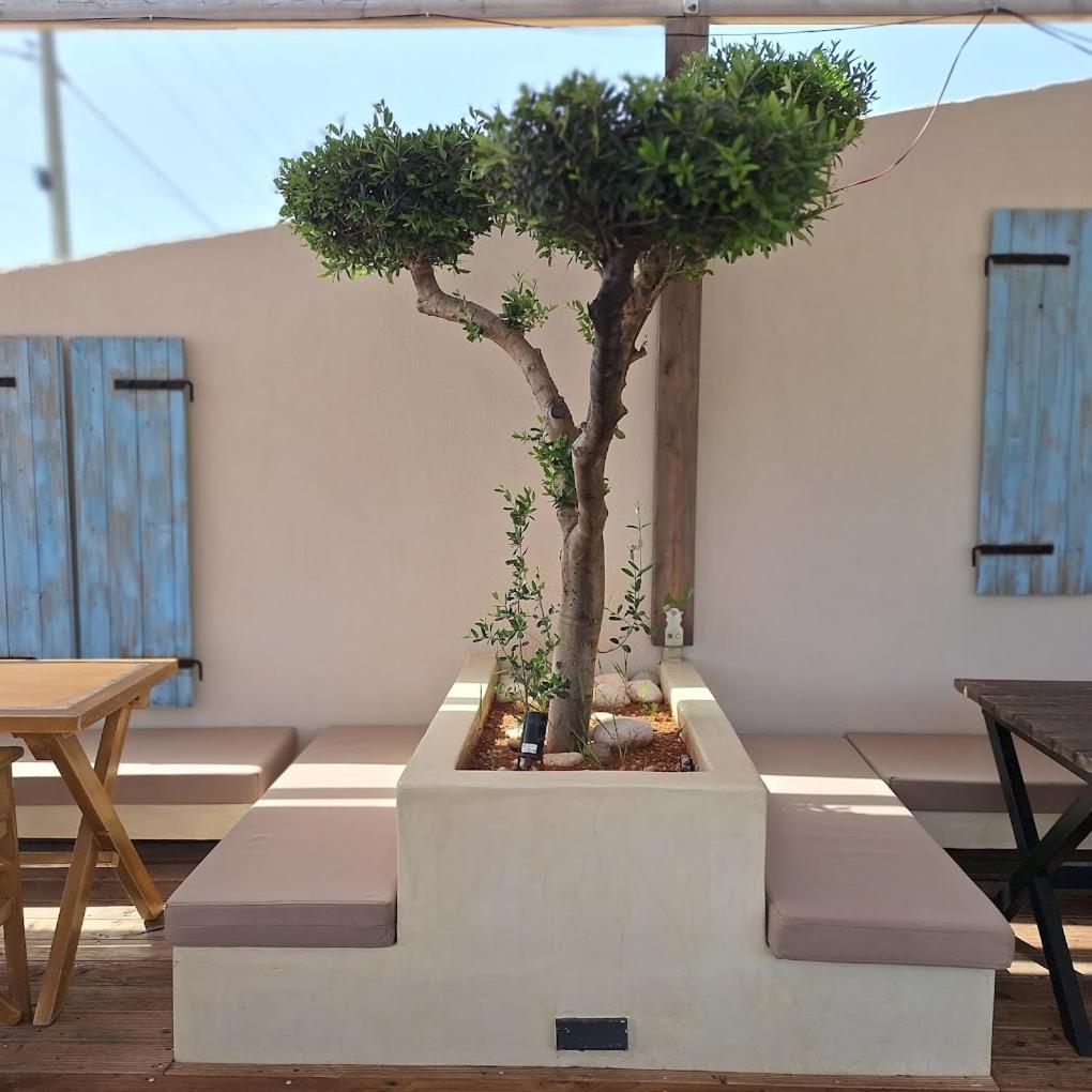 Tonea's * Himare
